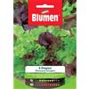 Blumen misticanza di lattughini 4 stagioni
