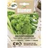 Blumen bio cima di rapa quarantina