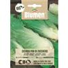Blumen bio cicoria pan di zucchero