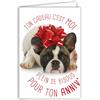 Afie Biglietto di auguri di buon compleanno umoristico con busta illustrata, formato 17,5 x 12 cm, divertente e divertente, travestito da regalo con fiocco in nastro sulla testa, realizzato in francese