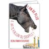 AFIE Biglietto di auguri di buon compleanno umoristico 1 anno in più con busta illustrata formato 17,5 x 12 cm cavallo divertente divertente divertente che soffia le candele su una torta - Creazione
