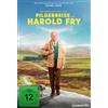 Constantin Film / LEONINE Die unwahrscheinliche Pilgerreise des Harold Fry