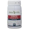 ERBA VITA GROUP SPA ECHINACEA 60CPS