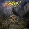 AMPED Sentry