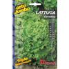 Magnani lattuga gentilina