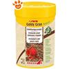 Sera Goldy Flakes - Confezione Da 100 ml