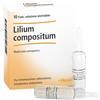 GUNA SpA LILIUM COMP.10f.2,2ml HEEL