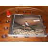 Vedi foto Branford Marsalis Trio Beautiful Ones are not yet Born Cd Nuovo