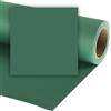 Colorama LL CO137 Fondale in Carta 2.72x11m Spruce Green