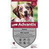 Advantix Spot On Cani 10-25kg 6 Pipette