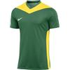 NIKE MAGLIA DRI-FIT PARK DERBY IV VERDE GIALLO UOMO [291888]