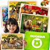 QUOKKA Puzzle Legno Bambini 3 4 5 Anni - 4x48 Pezzi Puzzle Animali Montessori - Gioco Educativo in Legno con Animali Realistici - Regalo per Bambini e Bambine 6 7 8 Anni