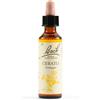Schwabe Pharma Italia Cerato Essenze Fiori Di Bach Rimedio Fitoterapico Gocce 20ml