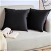 Blumtal Set di 2 Federe Cuscini Divano 30x50 cm in Velluto, con Chiusura Lampo Invisibile, Eleganti Copricuscini Divano in Morbido Velluto,Taglia 30 x 50, Nero