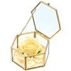 SUMNACON Scatola decorativa per gioielli, in vetro, organizer per trucchi, scatola regalo, espositore per orecchini, collane, anelli (oro, grande)