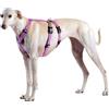 Haqihana srl Haqihana Pettorina Doppia H Pink Antifuga, m2h-torace-70-90cm