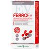 ERBA VITA INTEGRATORI Erba Vita Ferro Ev Retard 30 Compresse