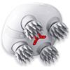 HaoToning Portable Electric Mini Scalp Massager,IPX7 Waterproof Wireless&Rechargeable Head Scratcher for Hair Growth,Deep Clean&Stress Relax