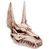 Nemesis Now D4736P9 Anubis Teschio Figurina 17 cm, Resina, Taupe, Taglia unica