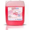 REMSGOLD POWERclean Sany - Detergente sanitario, 1 tanica da 10 kg