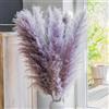 Leisure Life® | 8X Erba della Pampa grande 113cm | palette di colori viola naturale | fiori secchi XXL per attirare l'attenzione in casa vostra | fiori super soffici | inclusa guida alla decorazione