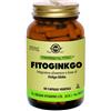 SOLGAR IT. MULTINUTRIENT SpA Fitogingko Solgar 60 Capsule Vegetali