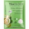 Teaology Matcha Tea Superfood Face and Neck Mask 21ML
