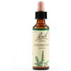 Schwabe Pharma Italia Schwabe Pharma Agrimony Fiori di Bach per fiducia in se stessi 20 ml