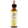 Schwabe Pharma Italia Schwabe Pharma Clematis Fiori di Bach per mancanza di concentrazione 20 ml