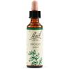 Schwabe Pharma Italia Schwabe Pharma Holly Fiori di Bach contro la gelosia eccessiva 20 ml