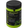 Creatina+ Polvere Extragold 100g