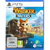 Merge Games Whisker Waters Playstation 5