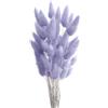 FENGCHUANG Code di Coniglio Erba della Pampa, -Pianta Boho Fiori Secchi Naturali, 50 Pezzi Pampas Decorative per Decorazioni Casa Tavola Matrimonio (Blu Chiaro)