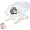 CaiYuanGJ Ruota Per Criceto 18cm - Silenziosa Ruota da Corsa Per Esercizi Per Criceti e Animali Piccoli (Bianco)