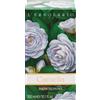 L'ERBOLARIO SB Srl CAMELIA BAGNOSCHIUMA 300ML