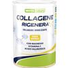 WHY SPORT WHY Nature Collagene Rigenera 330 gr Vaniglia