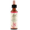 Schwabe Pharma Italia Schwabe Pharma Sweet Chest Fiori di Bach per ritrovare la speranza 20 ml