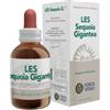 Forza Vitale Les Sequoia Gigantea gocce 50 ml