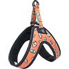 Consentida Pettorina Triangolo per Cani Taglia Piccola - Taglia S1-14 x 13 x 4 cm - Modello Occhi - Molto Resistente e Comodo - Riduce gli Strattoni - Accessori per Cani - Consentida