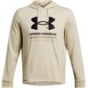 Under armour rival terry graphic hood