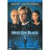 Universal Studios Meet Joe Black (DVD) Pitt Hopkins Forlani