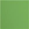 Vaessen Creative Cartoncino Florence Testurizzata - Materiali per Biglietti colorati 30,5 x 30,5 cm - Moss - 20 Fogli - Carta per Scrapbooking, Biglietti, Fustellatura e Progetti con Carta - 216 gsm - Verde