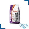 Gemon Gatto Sterilized Tacchino - 2 kg - 1 sacco