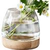 BOJOUL Mini acquario idroponico in vetro, vaso rotondo in vetro trasparente, da scrivania, con base in legno, decorazione floreale per casa e ufficio (17 x 19 x 11 cm)