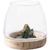 BOJOUL Mini acquario idroponico in vetro, vaso rotondo in vetro trasparente, da scrivania, con base in legno, decorazione floreale per casa e ufficio (13 x 13 x 9 cm)