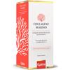 Optima Collagene Marino Liquido Integratore Benessere Pelle Unghie e Capelli 500 ml