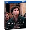 RAI-Com Mameli - Il ragazzo che sognò l'Italia (2 DVD)