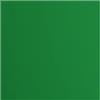 Vaessen Creative Cartoncino Florence Liscia - Materiali per Biglietti colorati 30,5 x 30,5 cm - Broccoli - 20 Fogli - Carta per Scrapbooking, Biglietti, Fustellatura e Progetti con Carta - 216 gsm - Verde