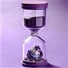HanCheng Clessidra plastica infrangibile Timer visivo per bambini, cucina, ricreazione, apprendimento