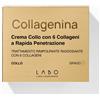 LABO INTERNATIONAL Srl Collagenina Crema Collo Grado 3 Labo 50ml